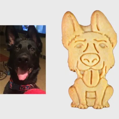 Custom Pet Cookies | Parker's Crazy Cookies