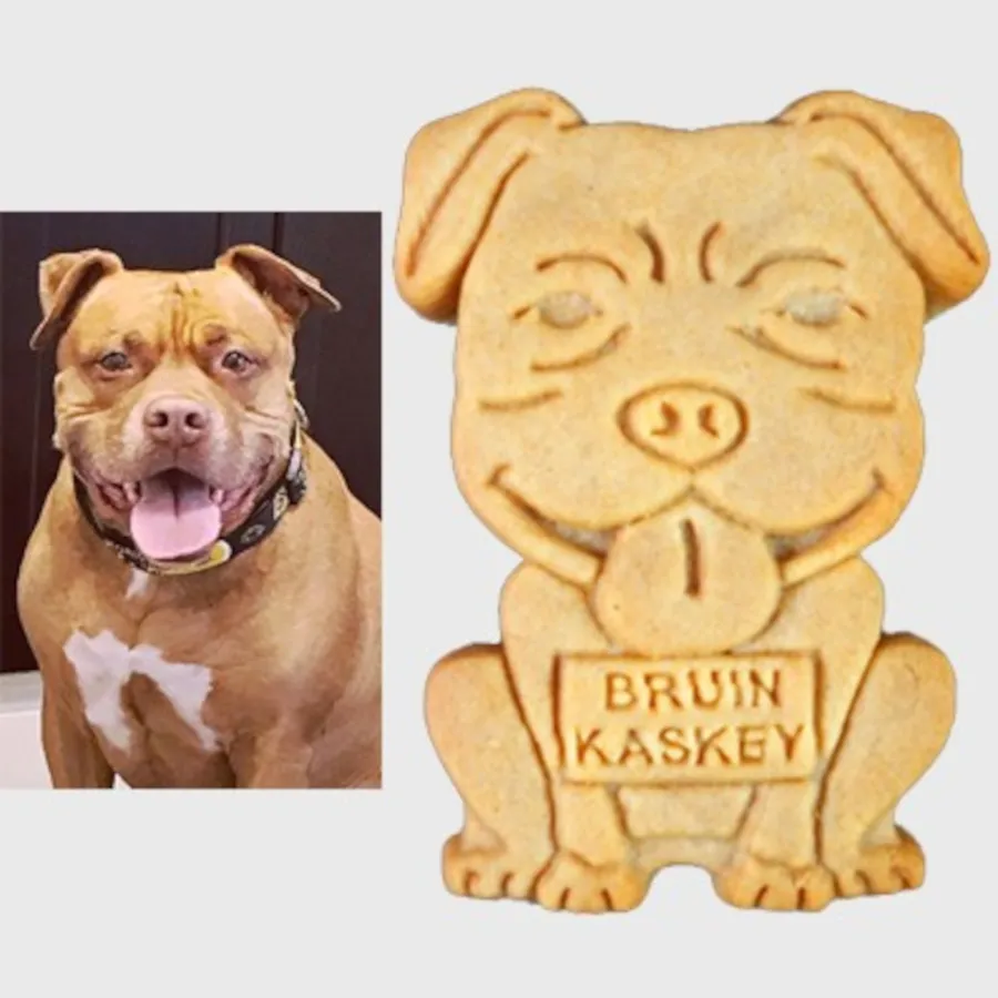 Custom Pet Cookies | Parker's Crazy Cookies