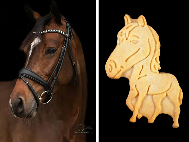 Pet Owner Gift Ideas