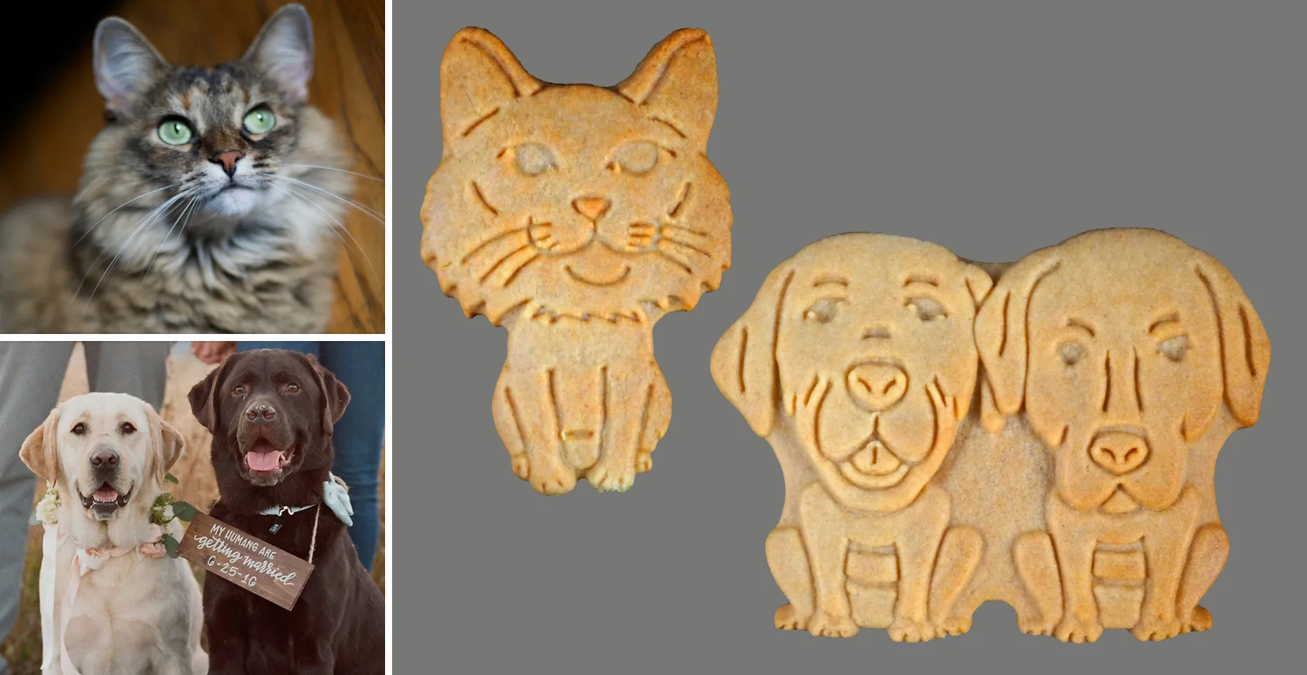 Pet Owner Gift Ideas