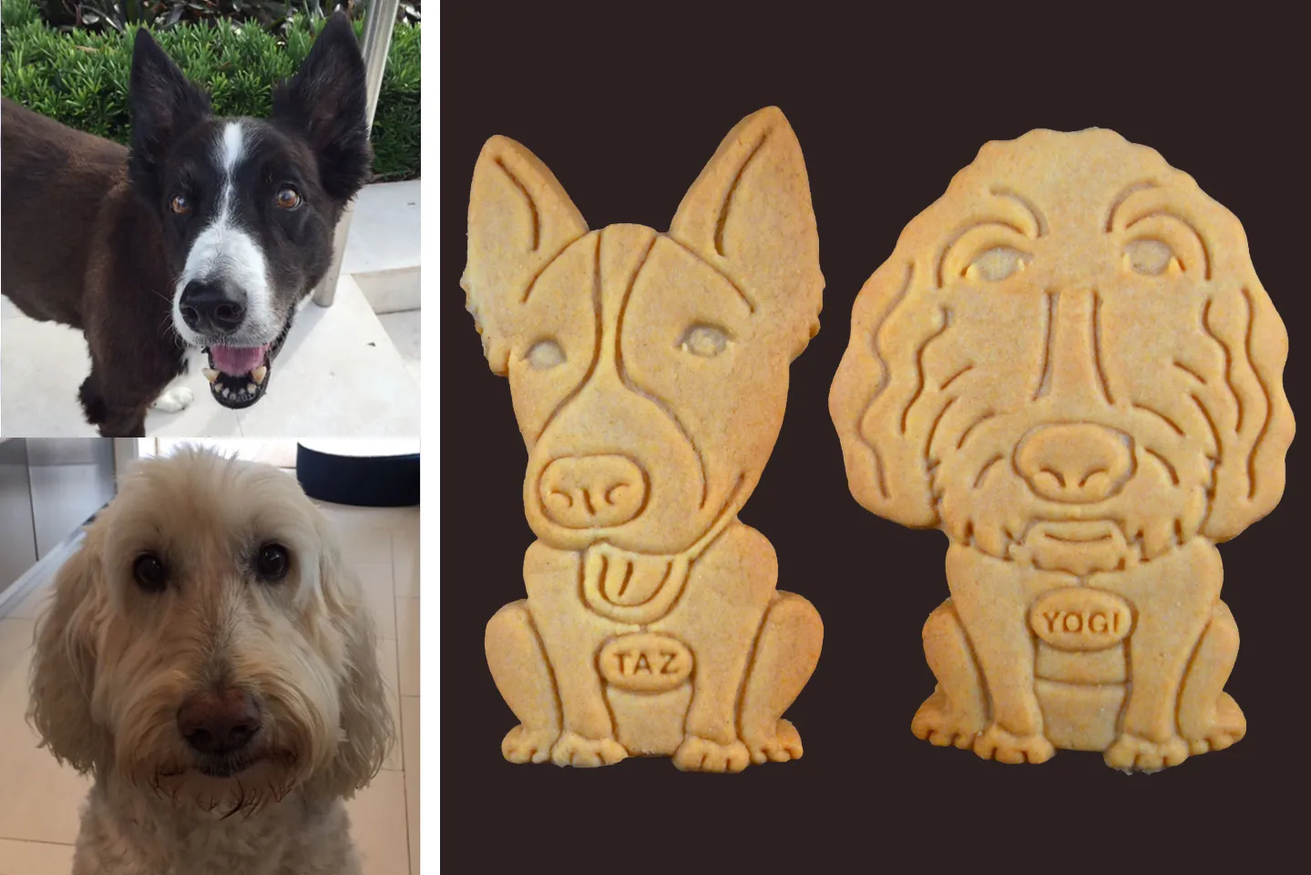 Unique Pet Owner Gift Ideas