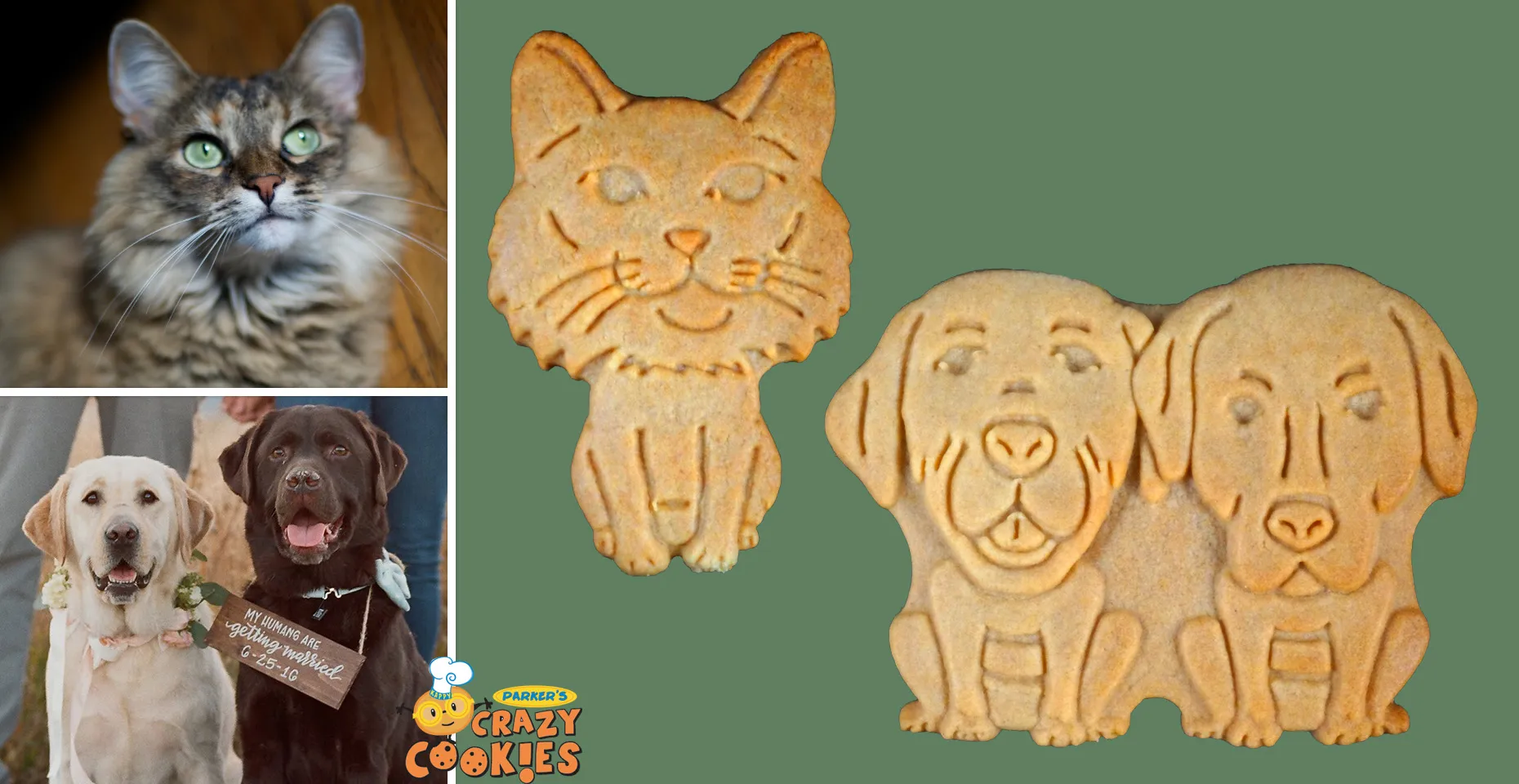 Happy birthday dog!!