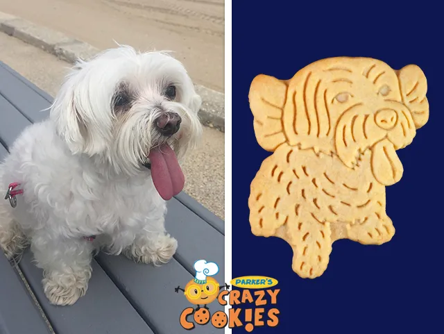 A Happy Birthday Dog Deserves Custom Cookies Full of Love!!