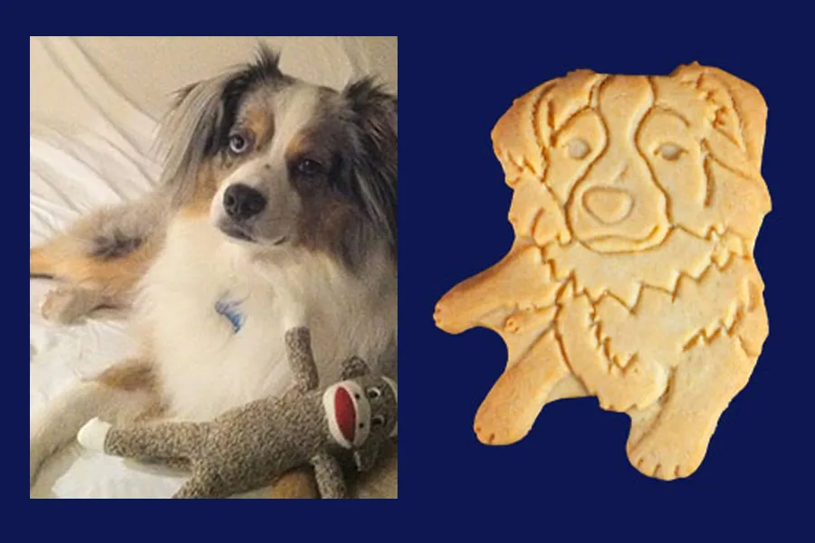 national dog day cookie