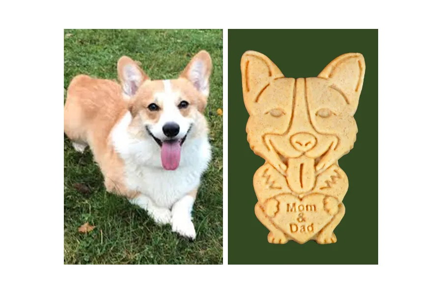 Wedding Cookie Designs to Make Your Guests Say WOW!