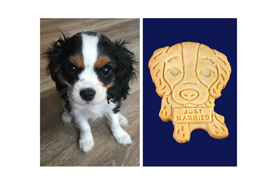Pet Cookies - Personalized Edible Wedding Favors Featuring Your Pet!