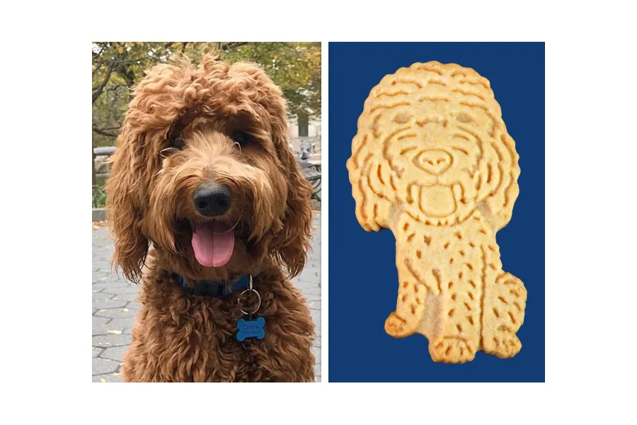 Pet Cookies